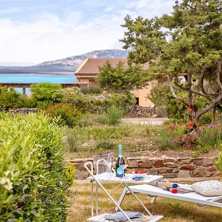 Apartman Il Pesce Innamorato - Stintino